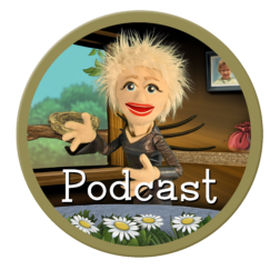Podcast Icon
